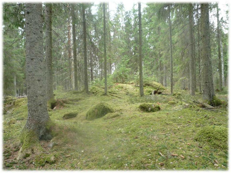 Sandvik Gard Spa & Konferens Åby 외부 사진